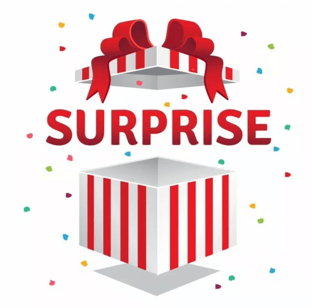 Box Surprise Noël Édition limitée 